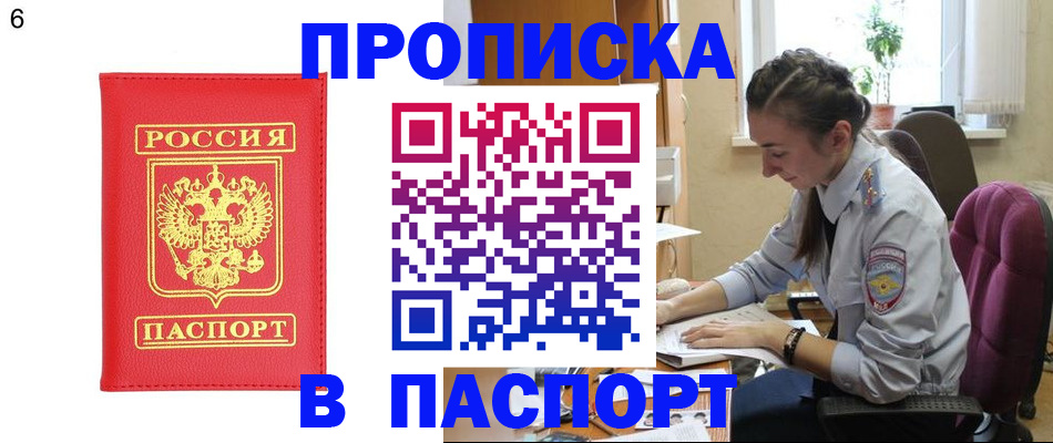 прописка гарантия в Камчатском крае